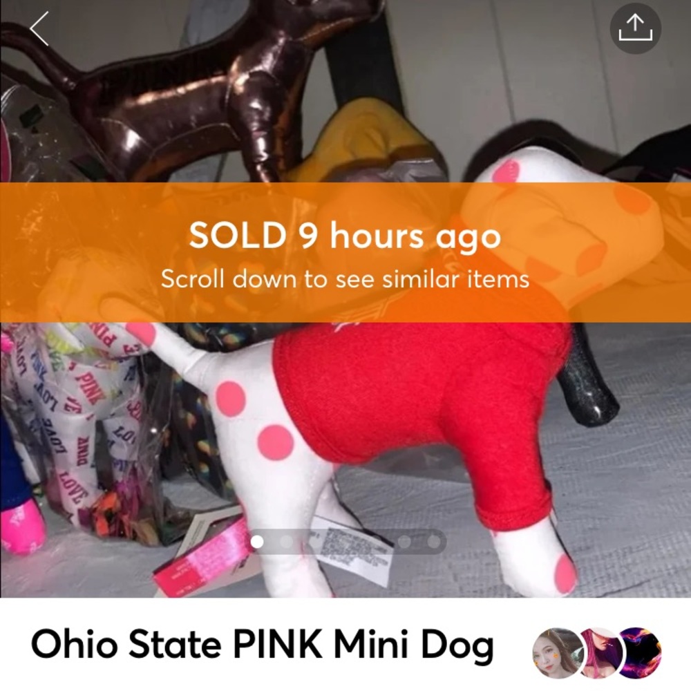 ❌SOLD❌Ohio State PINK Dog